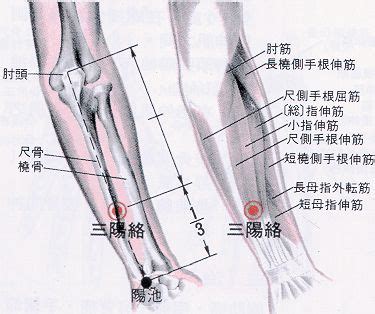 三間穴位置|醫砭 » 經穴庫 » 三間